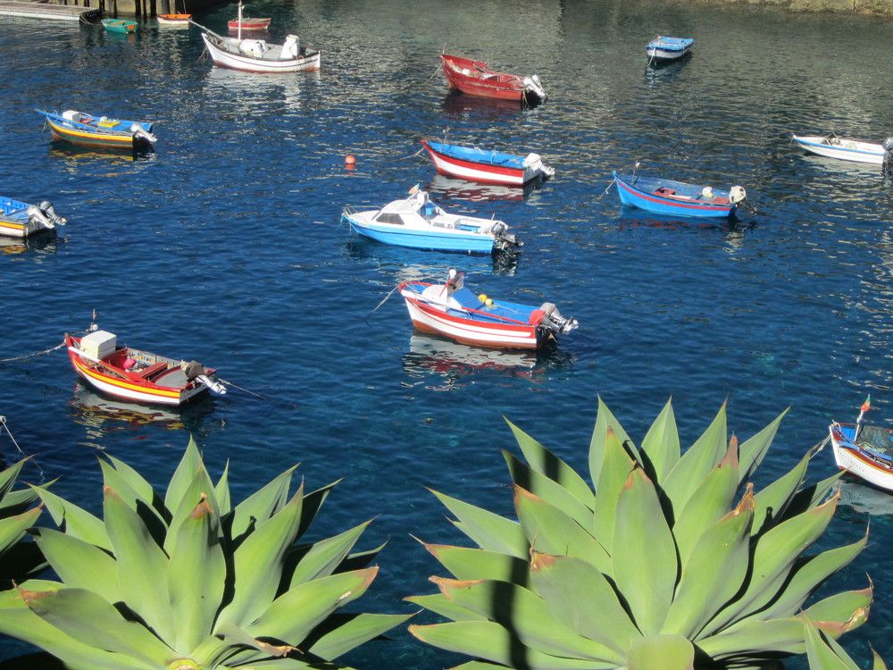 Photograph by Ольга Нистеренко