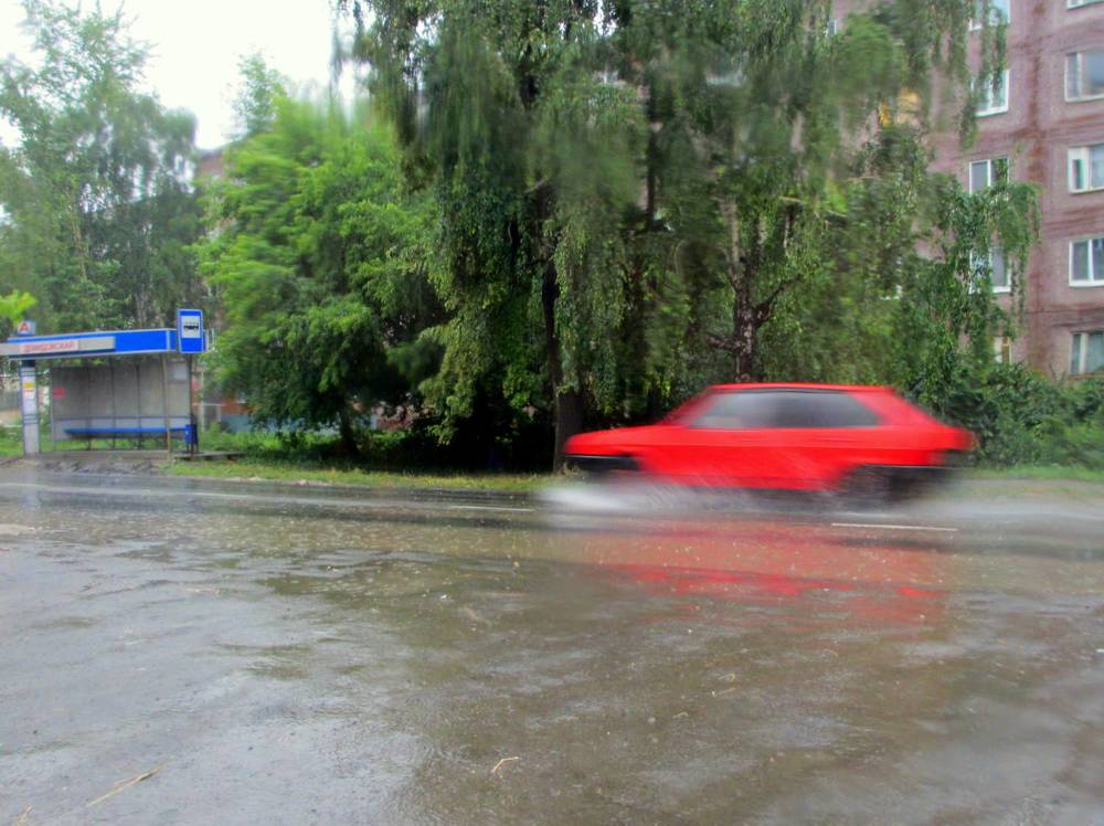 Фотография автора Nelya  Lysenko