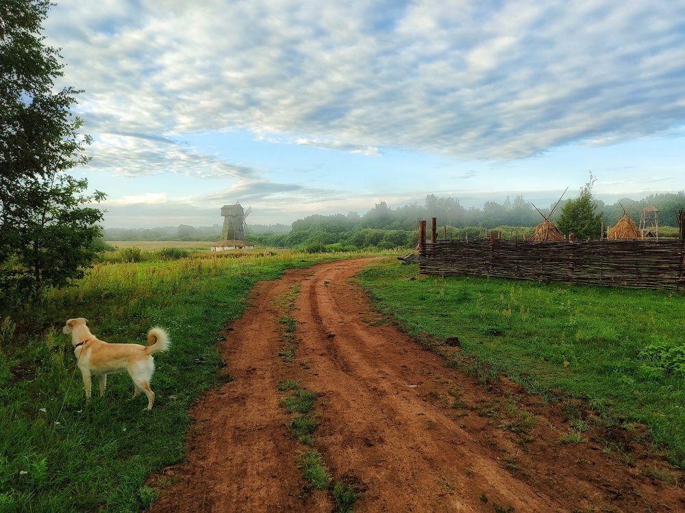 Photograph by Татьяна Абабкова