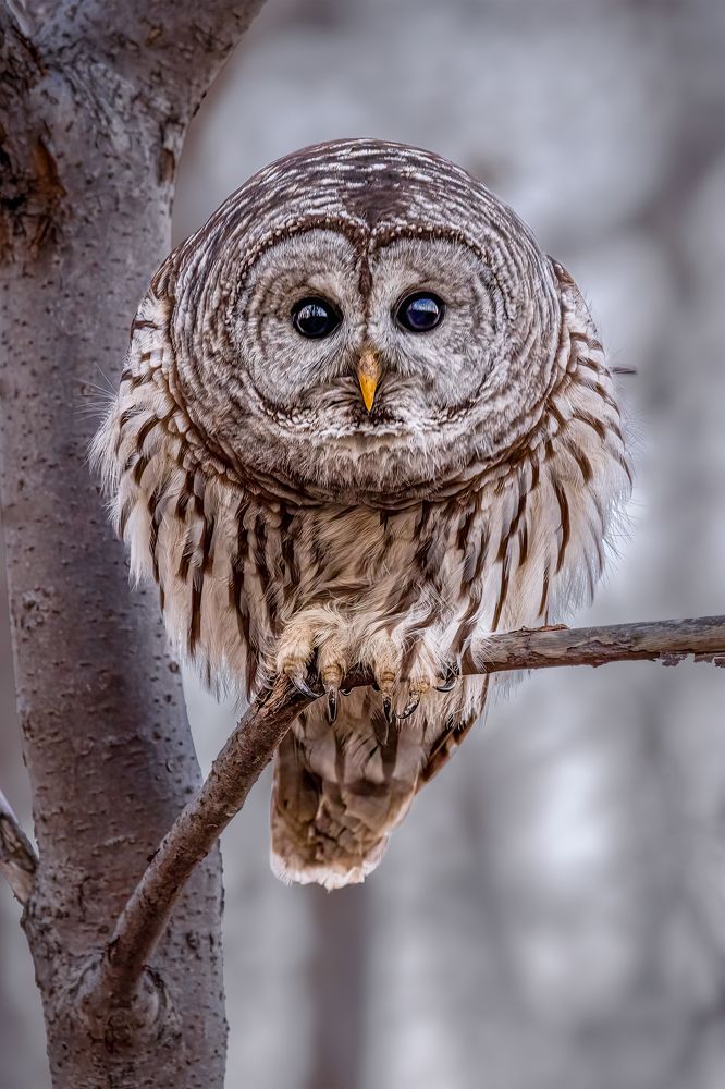 Photograph by Zhenhuan Zhou