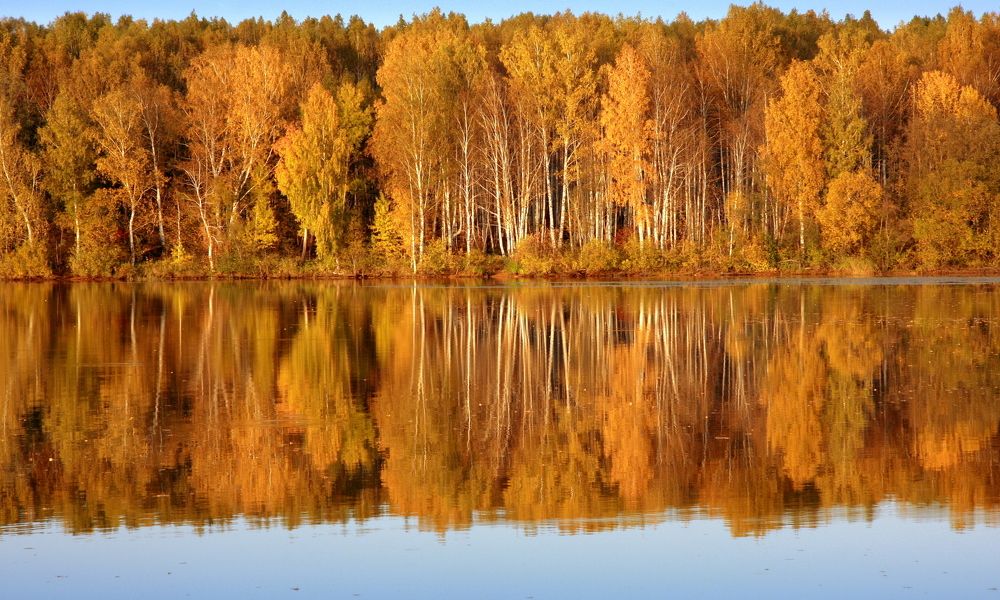 Фотография автора Nelya  Lysenko