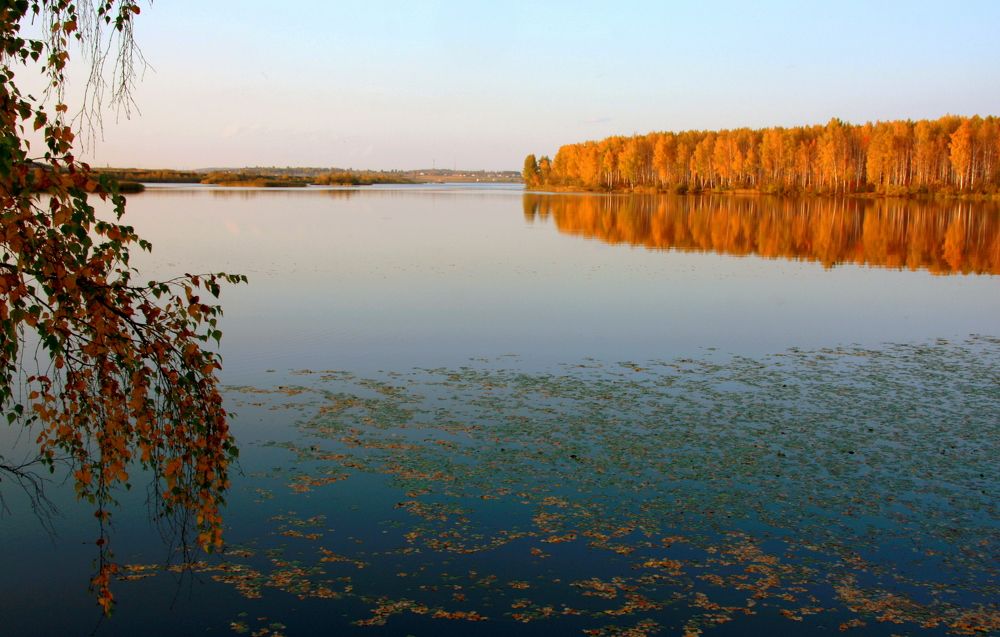 Фотография автора Nelya  Lysenko