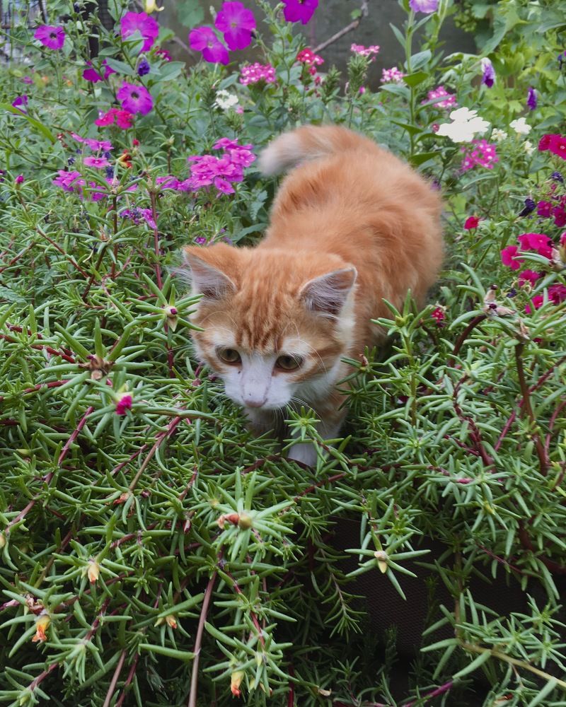 Photograph by Полина