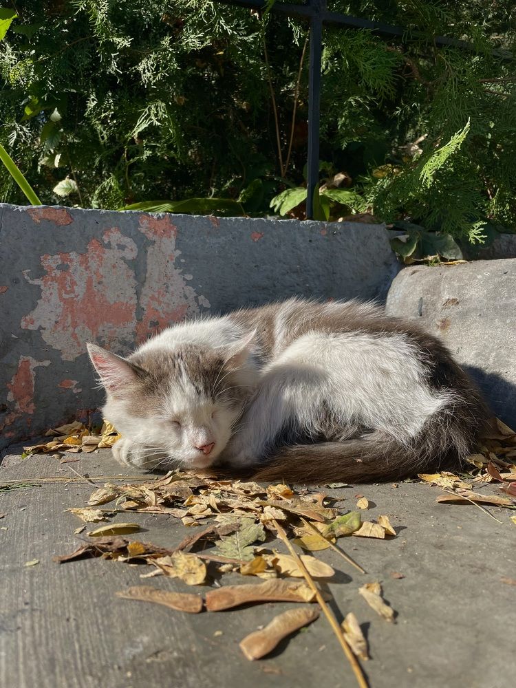 Photograph by Полина