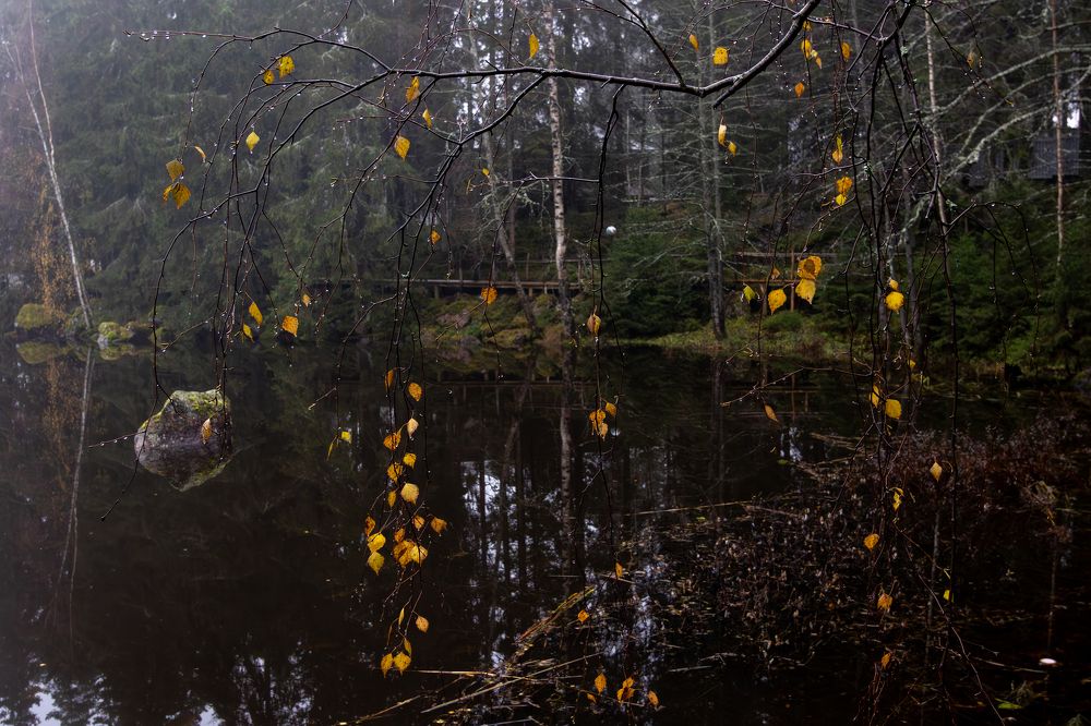 Photograph by Юлия Куликова