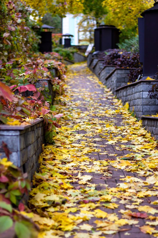 Photograph by Елена Барышева