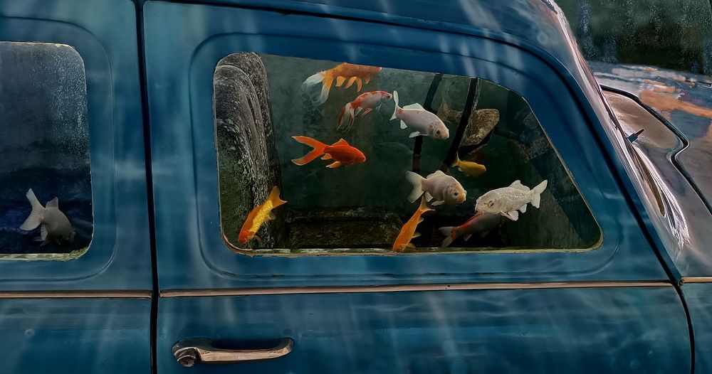 Photograph by вячеслав милов