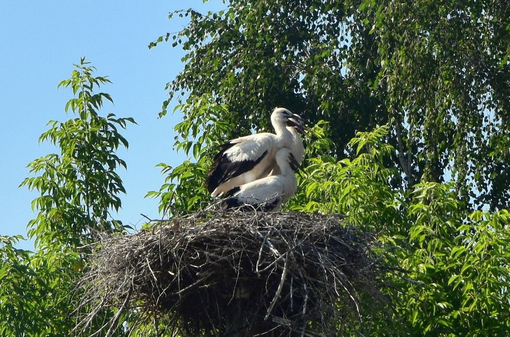 Photograph by Dimon Grinih