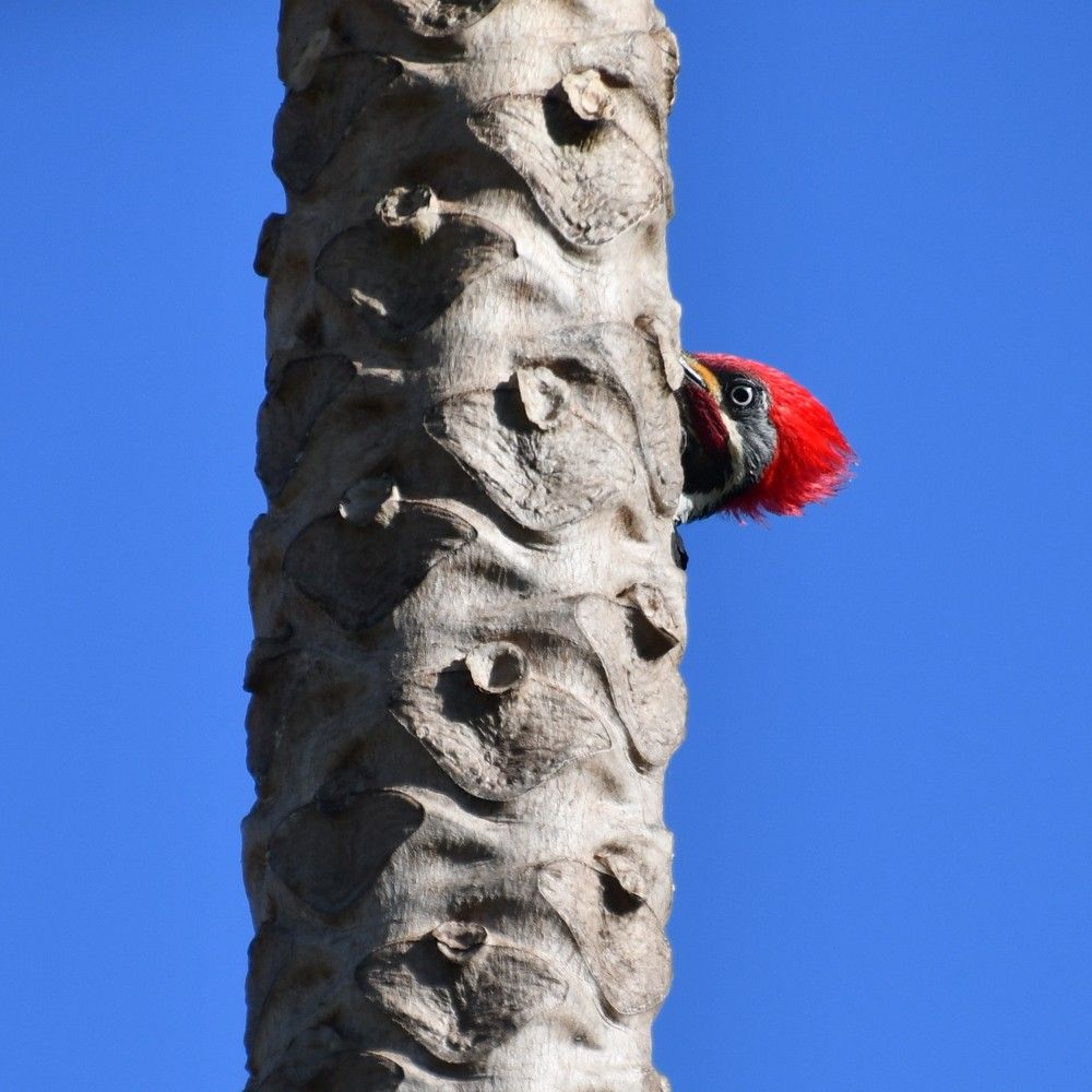 Photograph by Marzio Fattorini