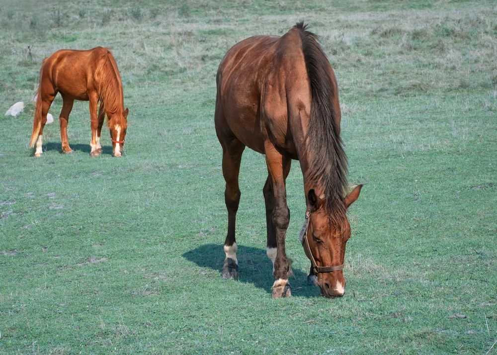 Photograph by Тамара Вотинцева