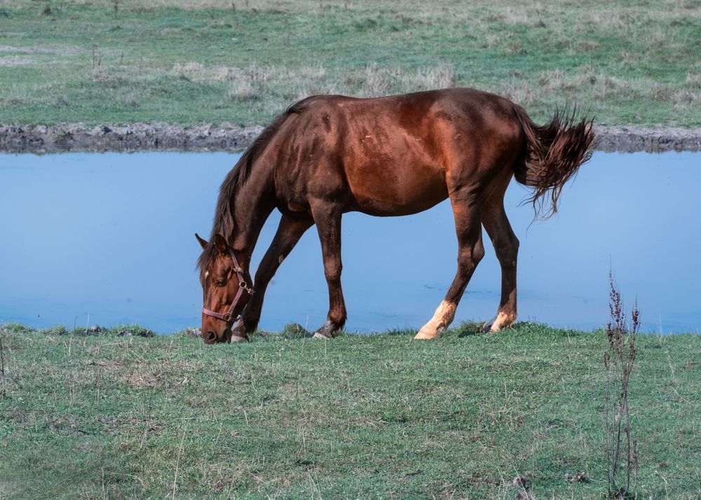 Photograph by Тамара Вотинцева