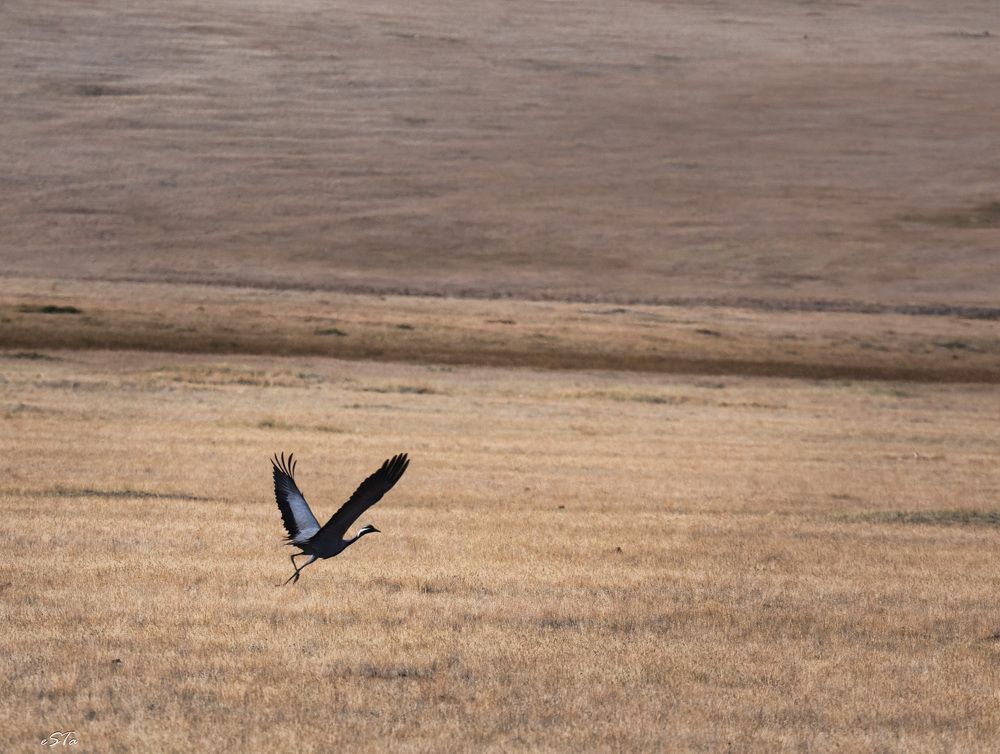 Photograph by Елена Станькова