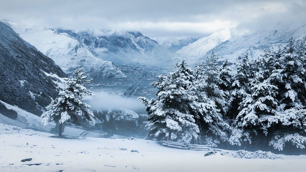 Photograph by Елена Станькова