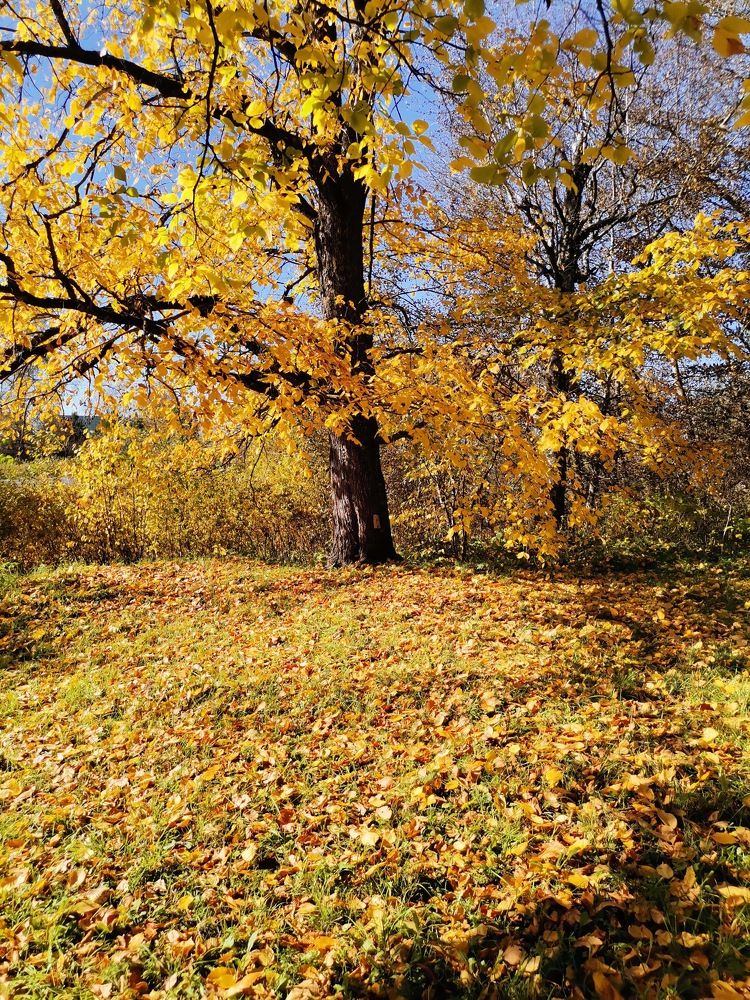 Photograph by Анастасия