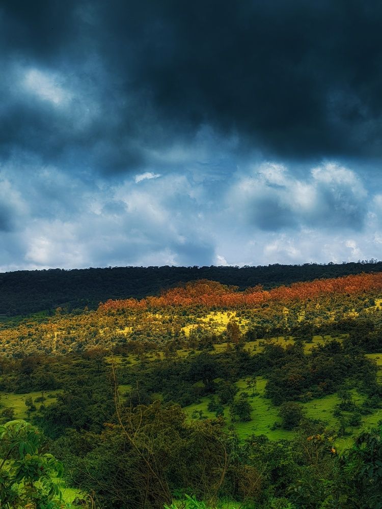 Photograph by Rohit Tonapi