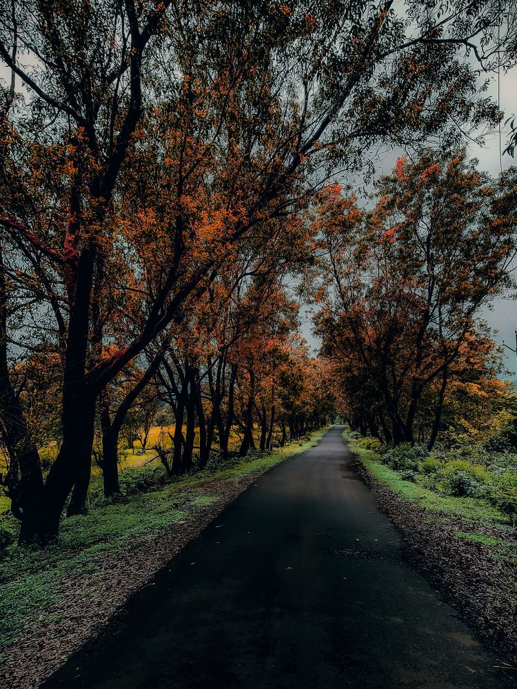 Photograph by Rohit Tonapi