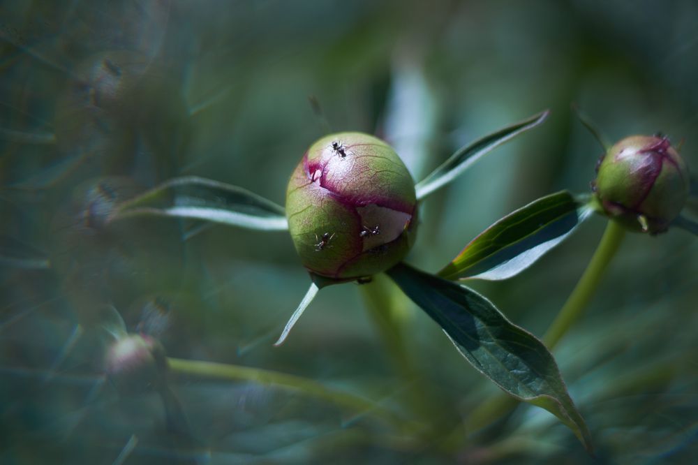 Photograph by Inna Tatarchenko