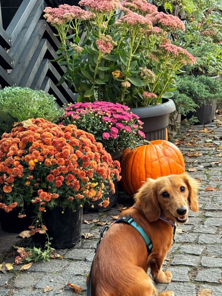 Photograph by Полина