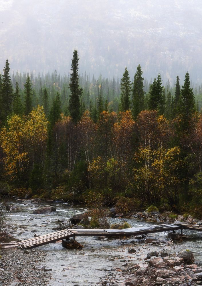 Photograph by Анна Бокова