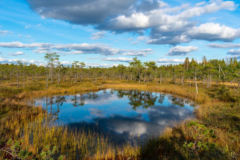 Photograph by Юлия Боровкова
