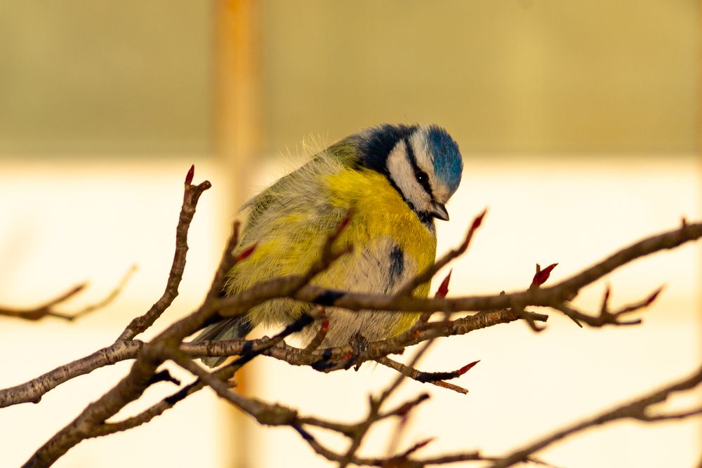 Photograph by Юлия Боровкова