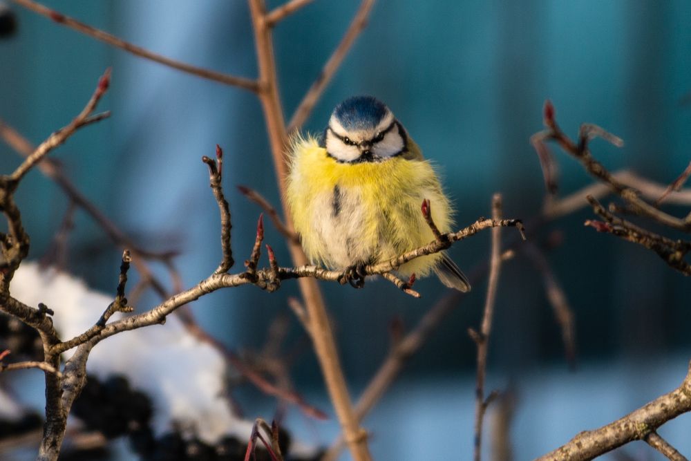 Photograph by Юлия Боровкова