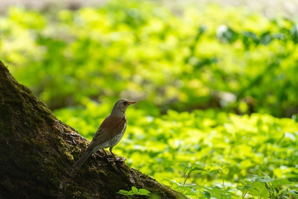Photograph by Юлия Боровкова