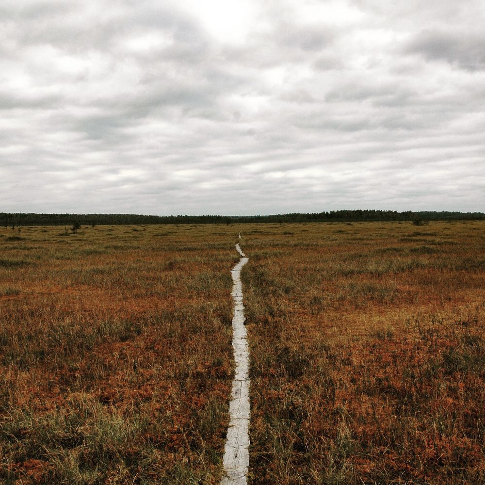 Photograph by  Дмитрий Михайлович