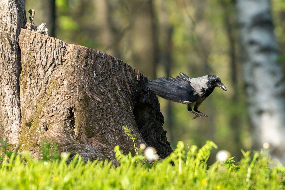 Photograph by Юлия Боровкова