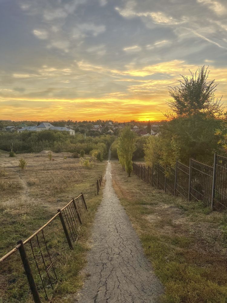 Дорога в осень