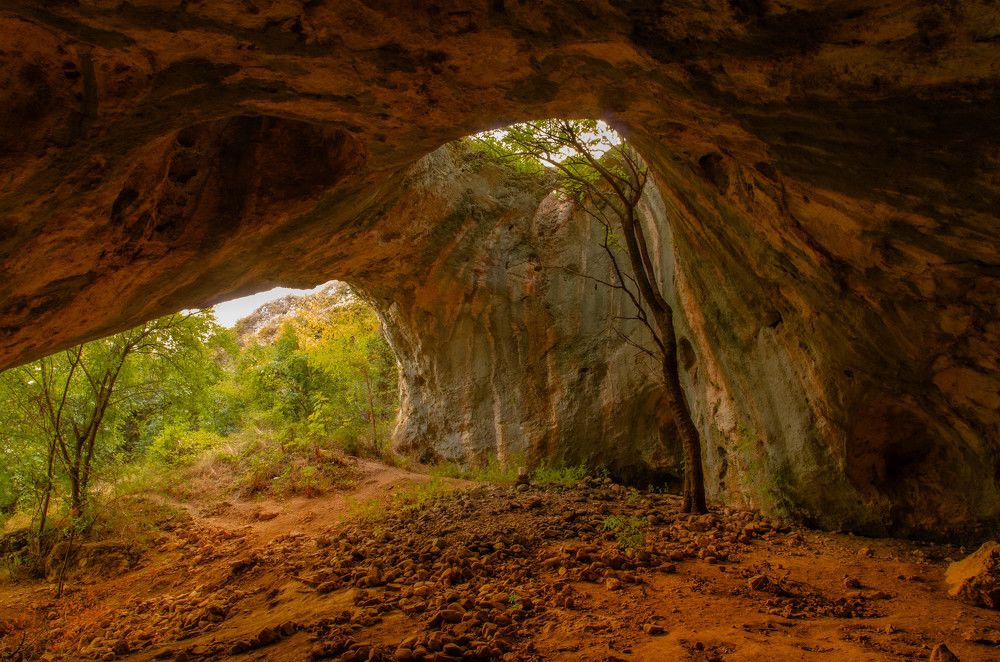 Photograph by Николов Андриян