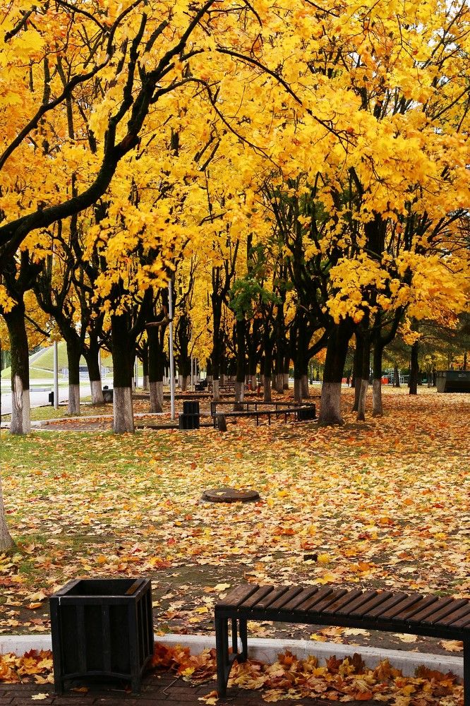 Фотография автора Геннадий Титов