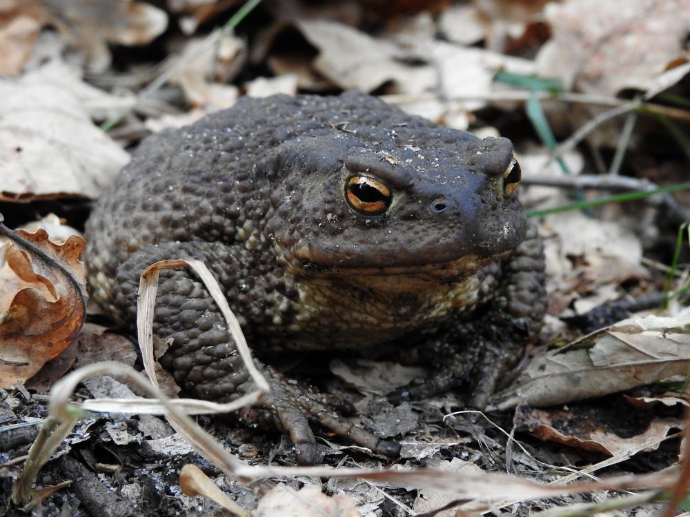 Photograph by Олеся Дейнеко