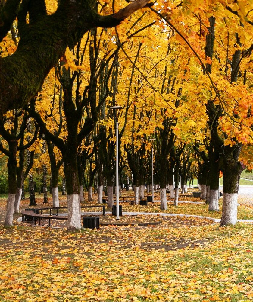 Фотография автора Геннадий Титов