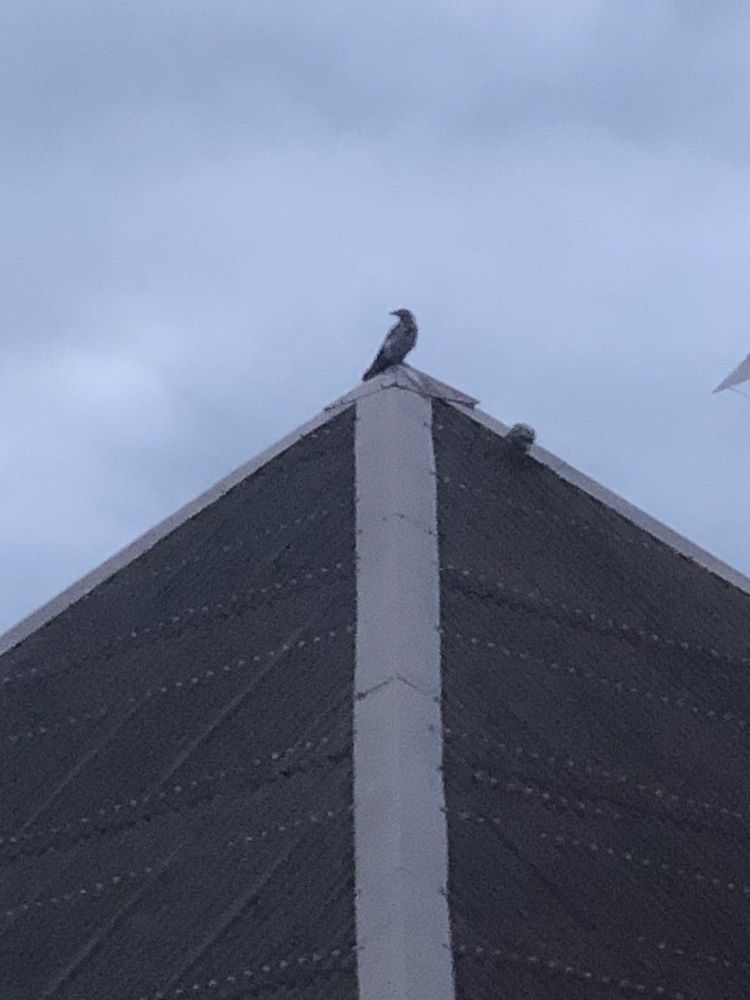 Photograph by Алексей Малеев