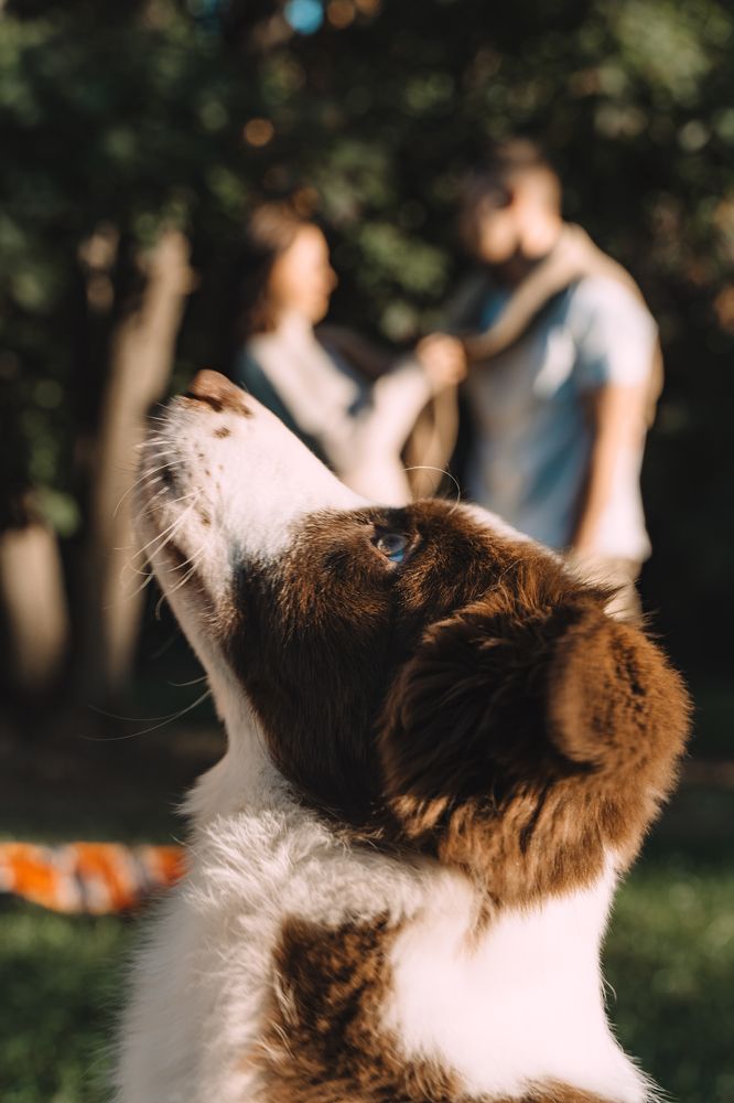 Photograph by Юрий Вавилов
