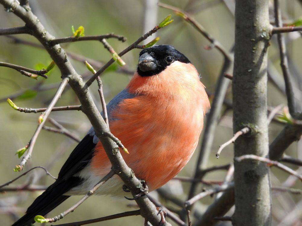 Photograph by Олеся Дейнеко