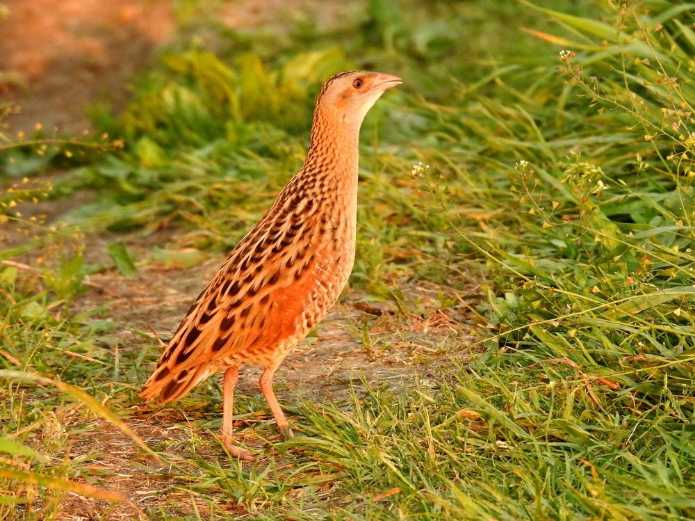 Photograph by Олеся Дейнеко