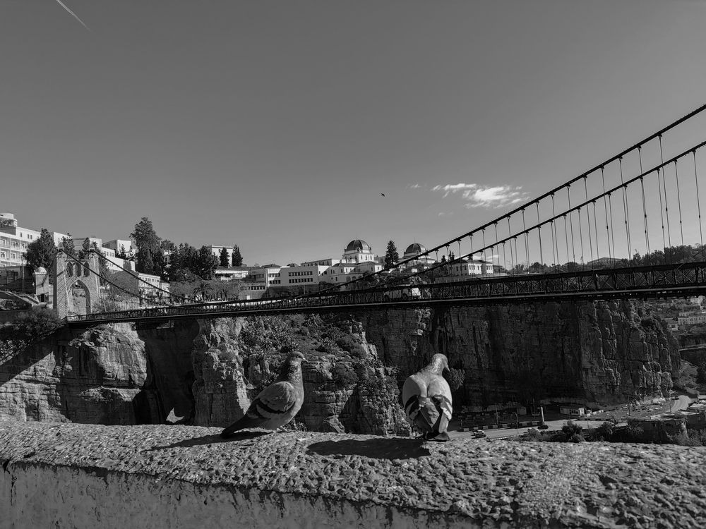 Фотография автора Azzeddine Memmou