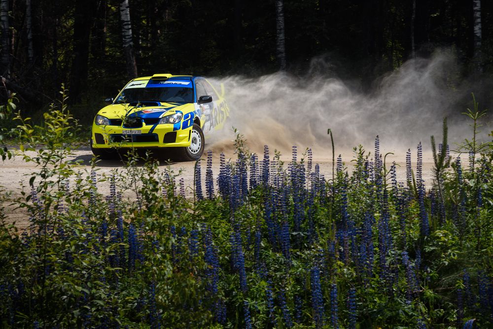 Photograph by Елена Чеснокова