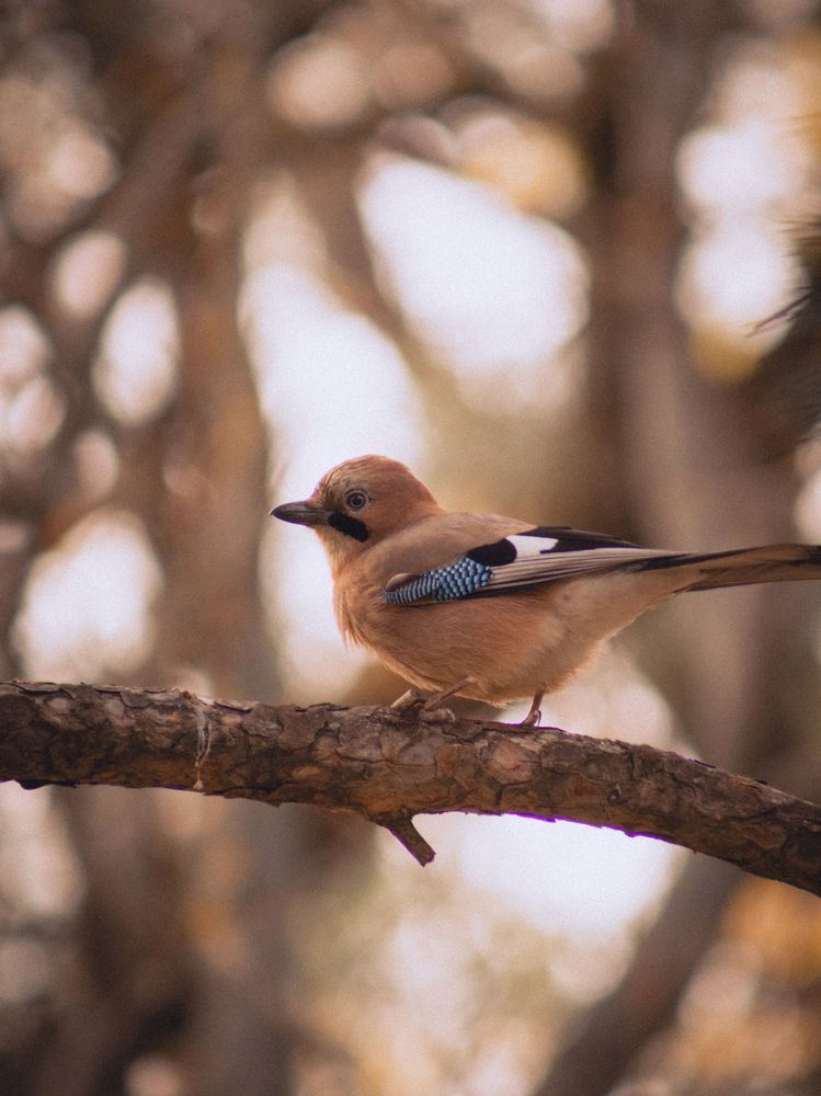 Photograph by Liudmila Kirillova