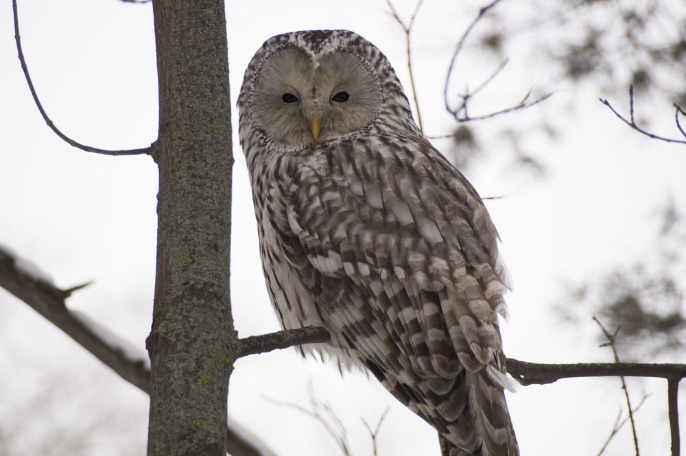 Photograph by Аlessandro