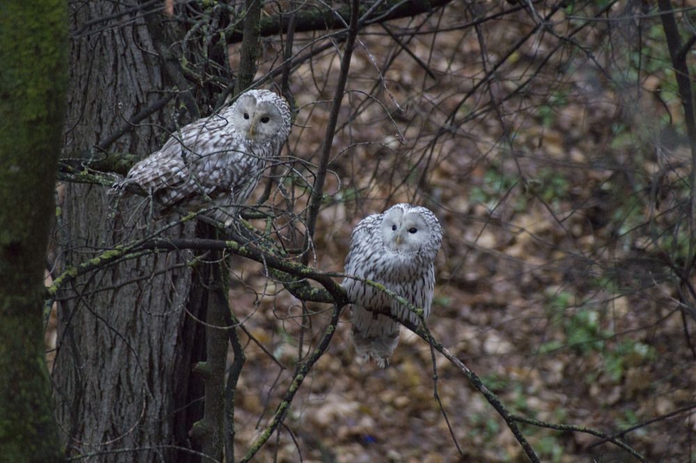 Photograph by Аlessandro