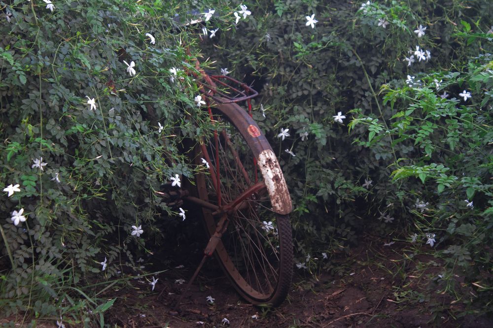 Photograph by Hossam Ahmed