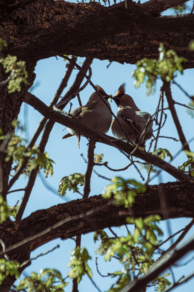 Photograph by Corey D