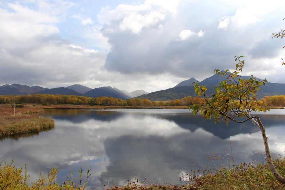 Photograph by Наталья Турчик