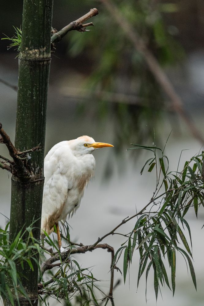 Photograph by Sandra Alvarez