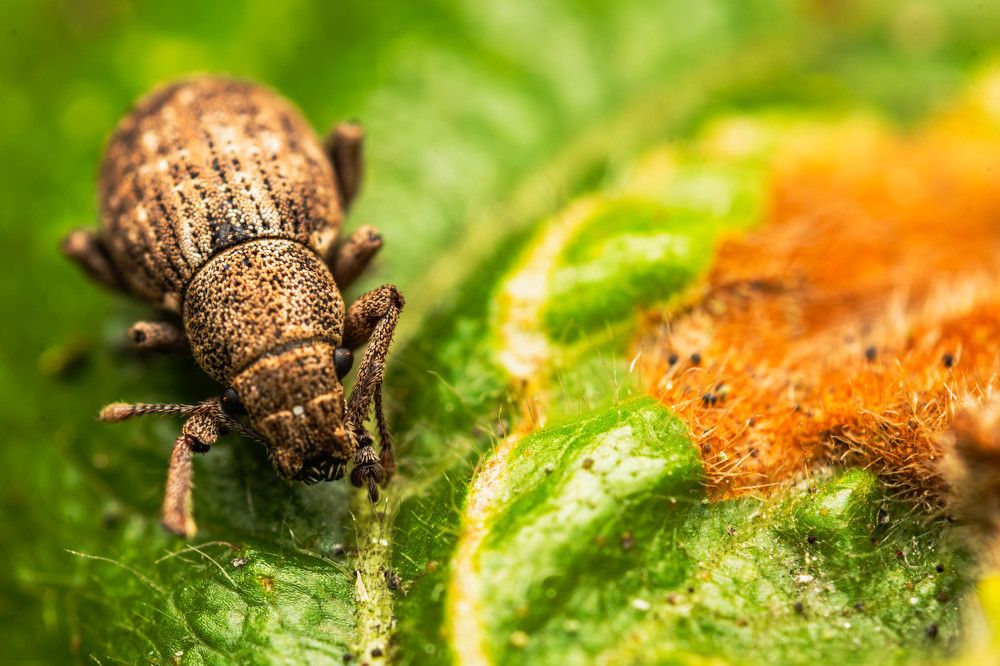 Photograph by Андрей Шабанов