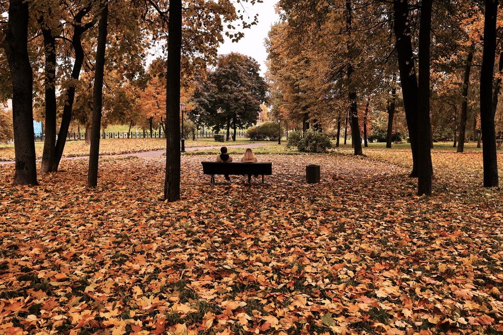 Москва, на бульваре