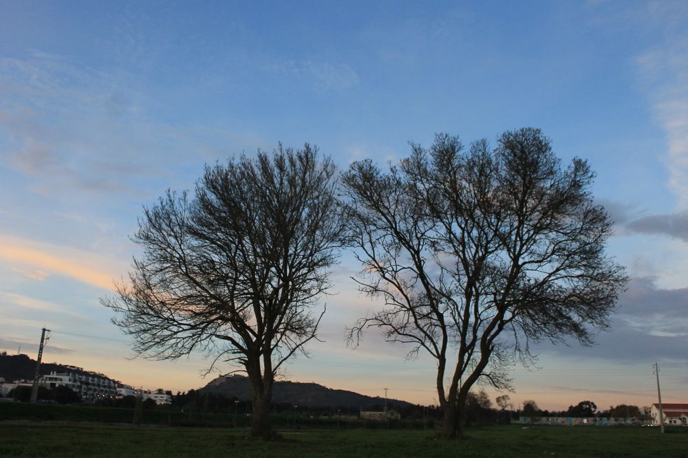 Photograph by Francisco Ferreira